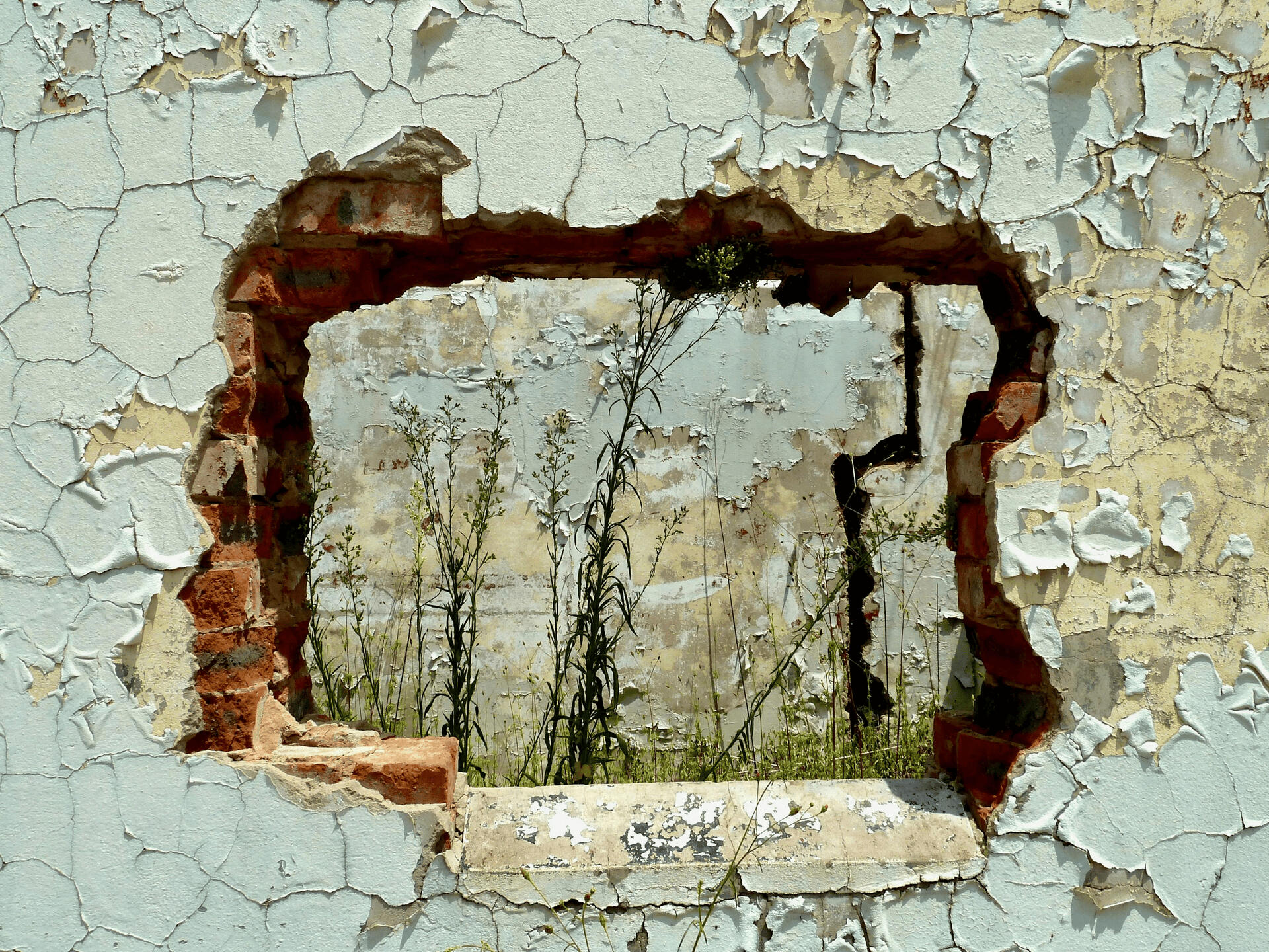 Light Through the Break A cracked plaster wall with exposed brick forming a rough rectangular opening, with tall green plants growing through the gap.