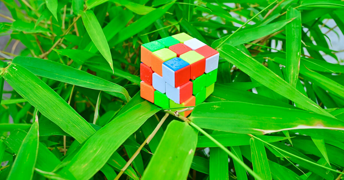 A colorful, unsolved Rubik’s cube resting on bright green bamboo leaves, symbolizing complexity, adaptability, and the hidden structure beneath chaos.