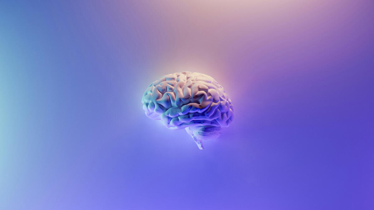 Human intelligence meets artificial design in motion. A floating, three-dimensional human brain illuminated by soft gradients of blue, purple, and peach light, symbolizing the intersection of human thought and artificial intelligence.