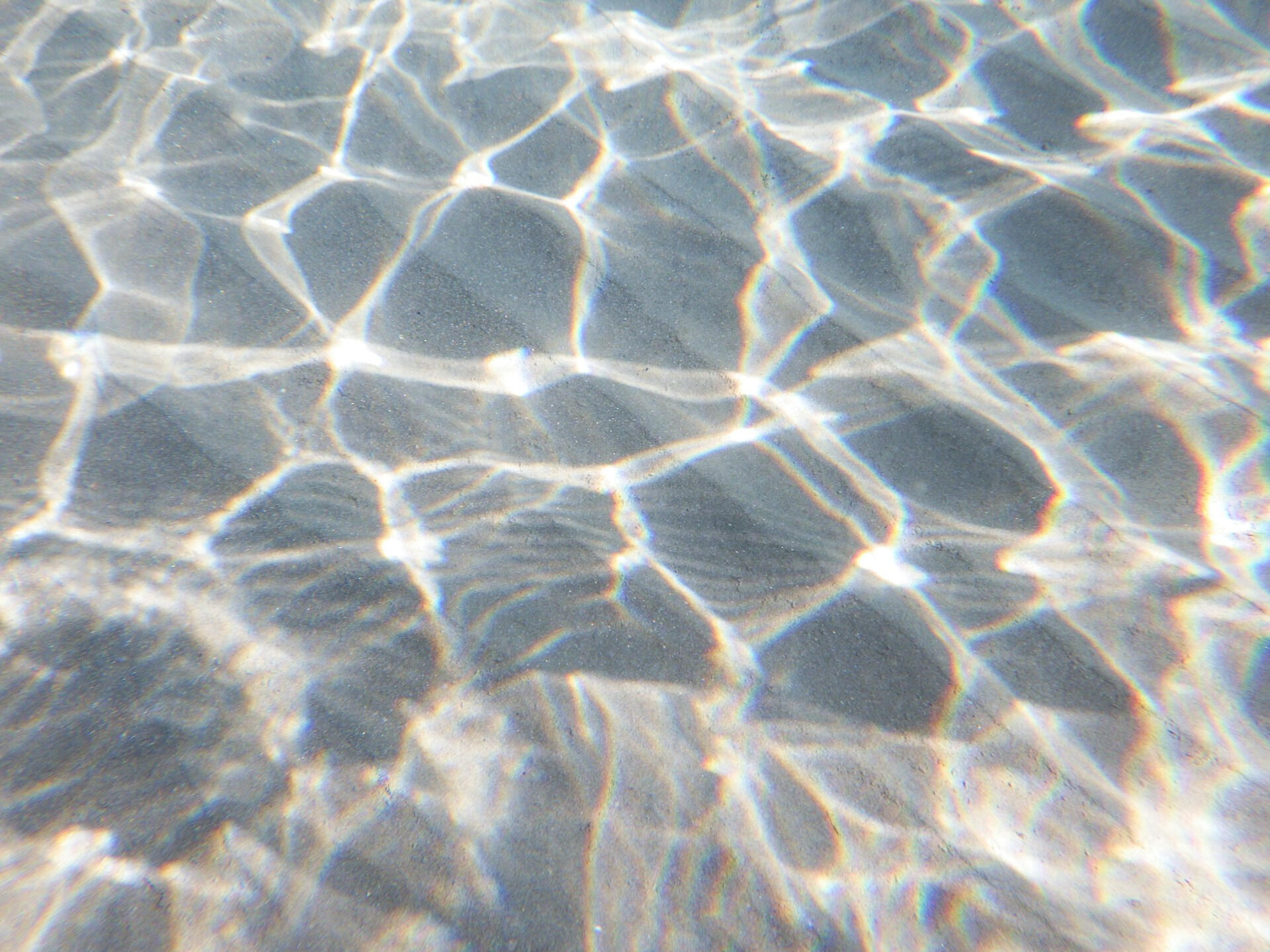 Soft rippling water with light reflections forming geometric patterns, symbolizing transparency, governance, and calm coherence emerging from complexity.